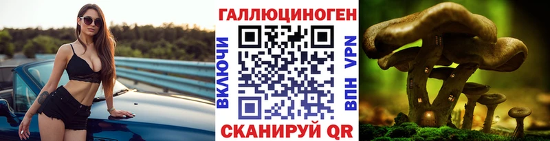 KRAKEN сайт Неман Галлюциногенные грибы MAGIC MUSHROOMS